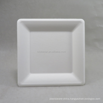 Biodegradable sugarcane square restaurant plate